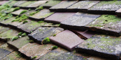 Bitton roof repair costs